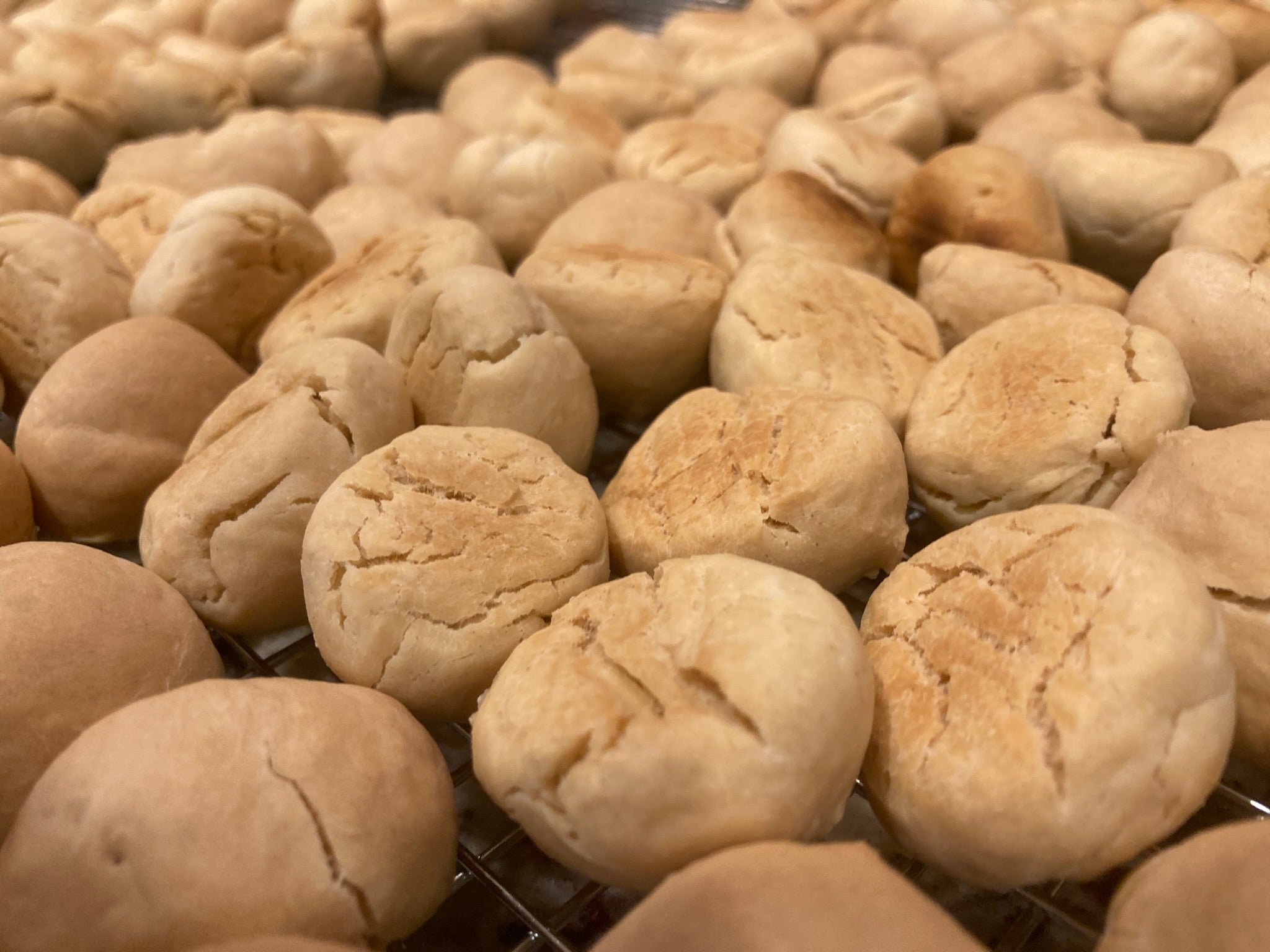 Oyster Crackers moonlightcracker